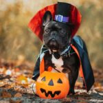 pes helloween